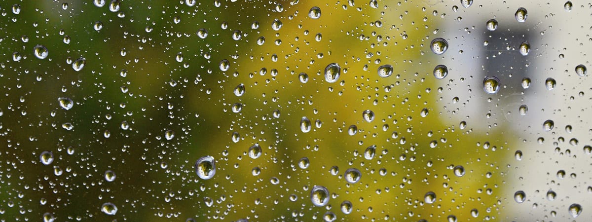 WHAT IS A COMFORTABLE LEVEL OF HUMIDITY FOR YOUR HOME?